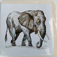 African Animal Greeting Cards